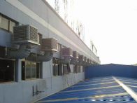 ׳L(fng)h(hun){(dio)ع